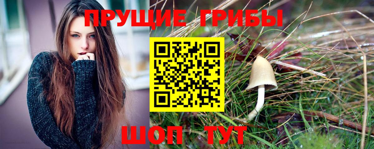 Галлюциногенные грибы GOLDEN TEACHER  Вход с VPN  Учалы 